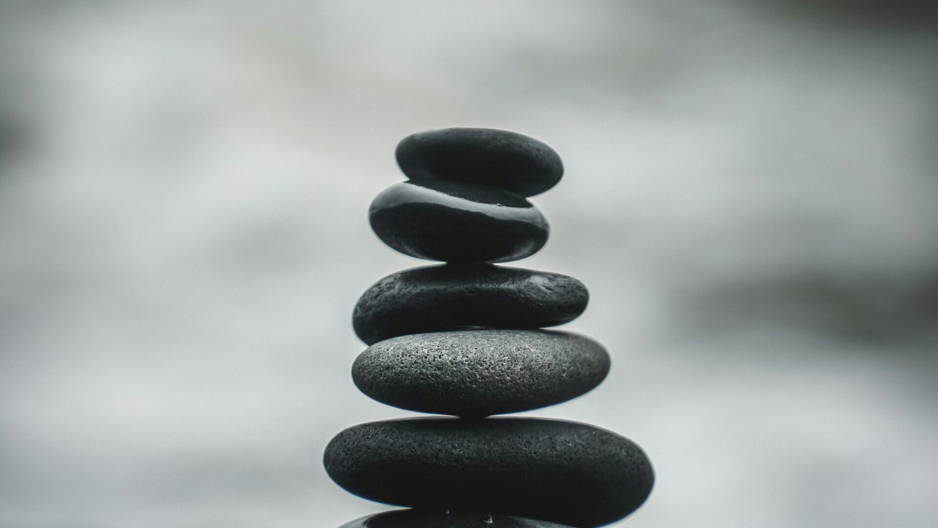 Wellness months